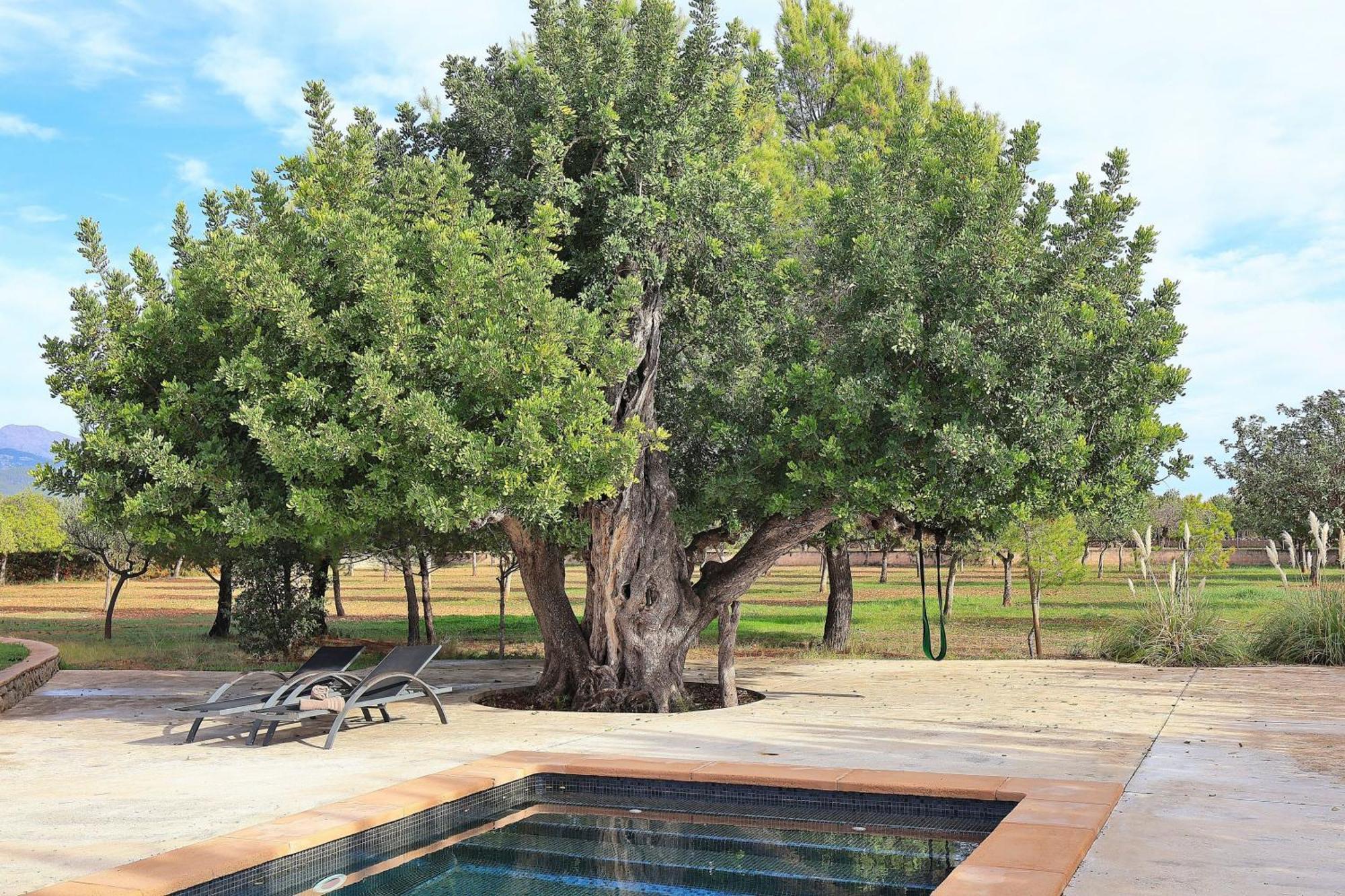 151 Villa Es Triquet Et3366 By Mallorca Charme Бинисалем Екстериор снимка